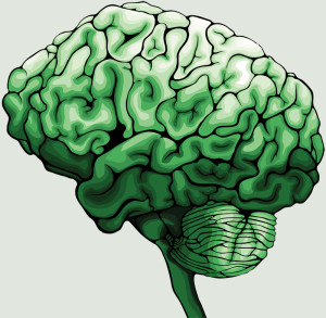 Brain_Broccoli_by_faiize