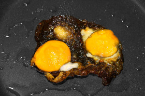 This is not your brain on drugs. These are burnt eggs.